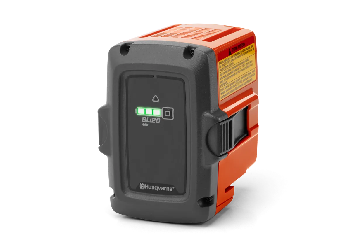 BLi20